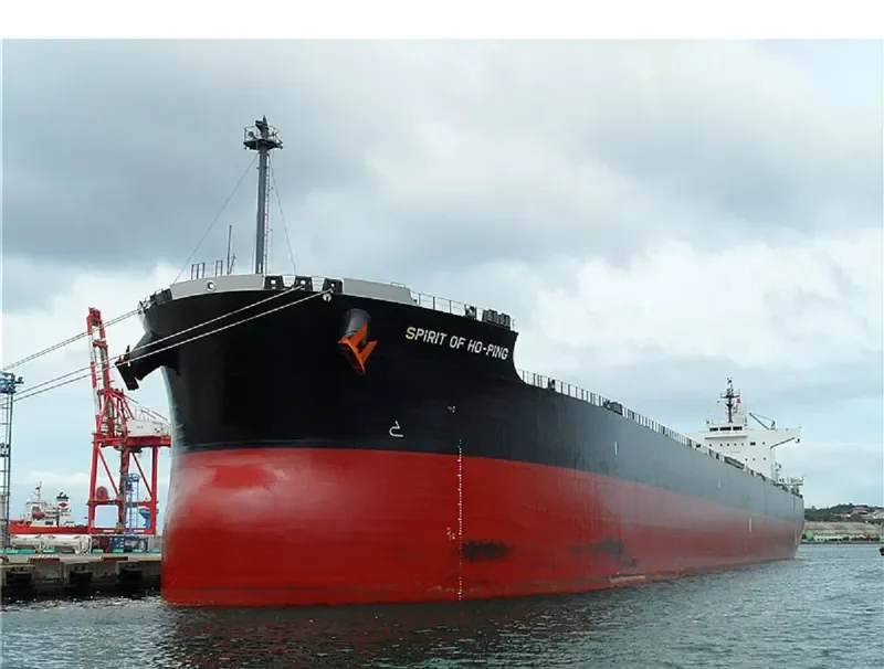 SPIRIT OF HO PING Bulk Carrier IMO 9433638 photo 4