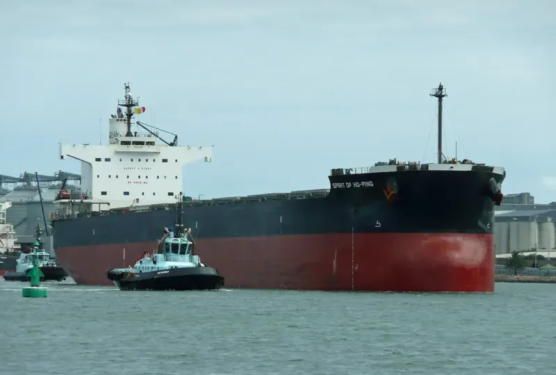 SPIRIT OF HO PING Bulk Carrier IMO 9433638 photo 6