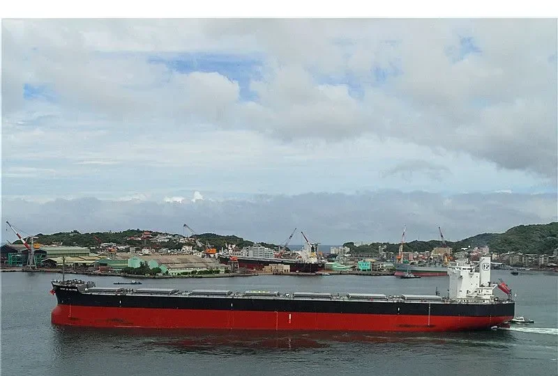 SPIRIT OF HO PING Bulk Carrier IMO 9433638 photo 9
