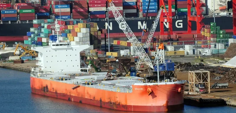 PAREA Bulk Carrier IMO 9433652 photo 4
