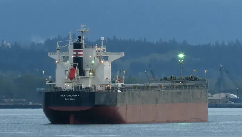 KEY GUARDIAN Bulk Carrier IMO 9433664 photo 5