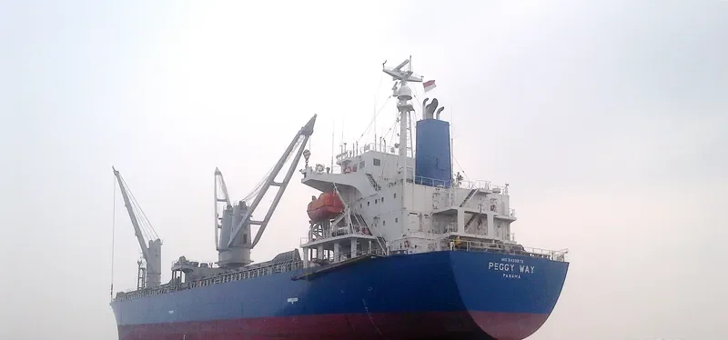 SEACON OSAKA General Cargo IMO 9433872 photo 4