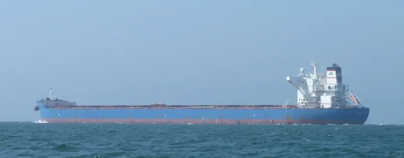 ANANGEL TRUST Bulk Carrier IMO 9434400 photo 2