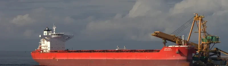 SAMJOHN SOLIDARITY Bulk Carrier IMO 9434424 photo 3
