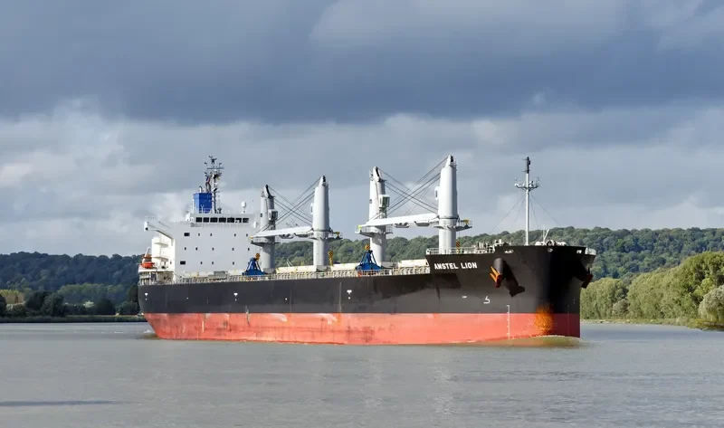 AMSTEL LION Bulk Carrier IMO 9434498 photo 2