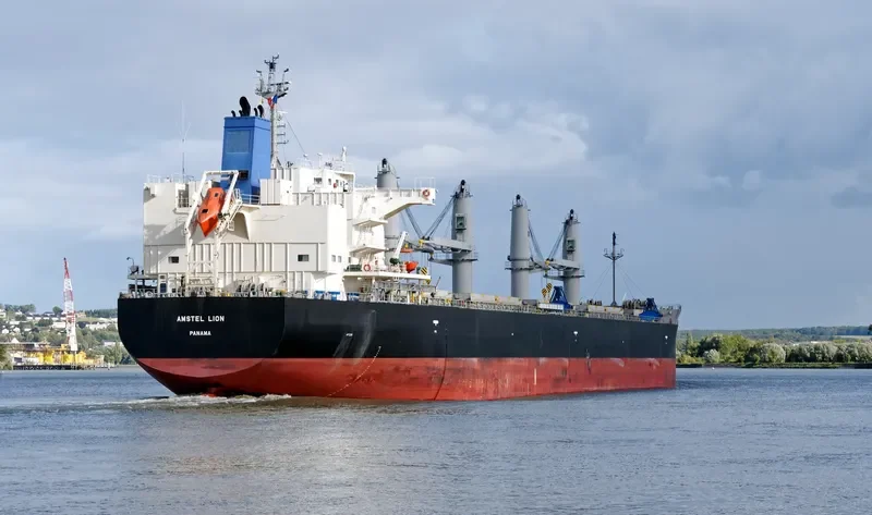 AMSTEL LION Bulk Carrier IMO 9434498 photo 5