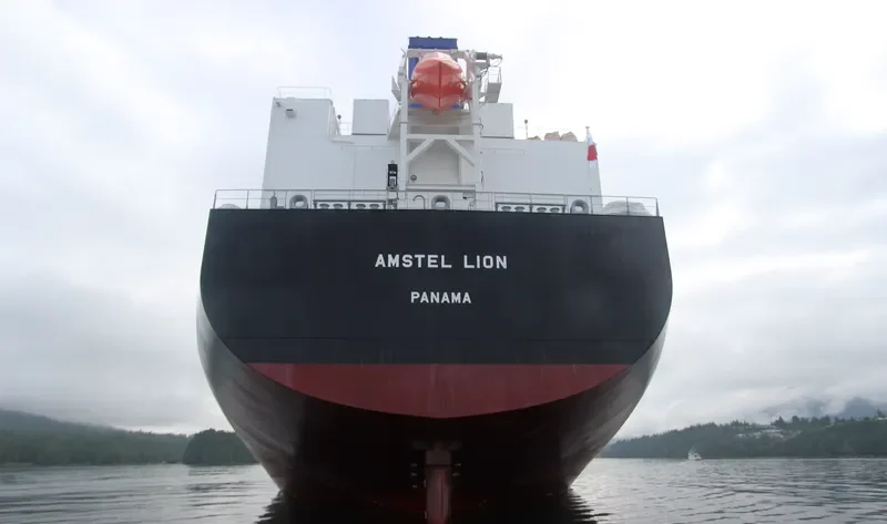 AMSTEL LION Bulk Carrier IMO 9434498 photo 10