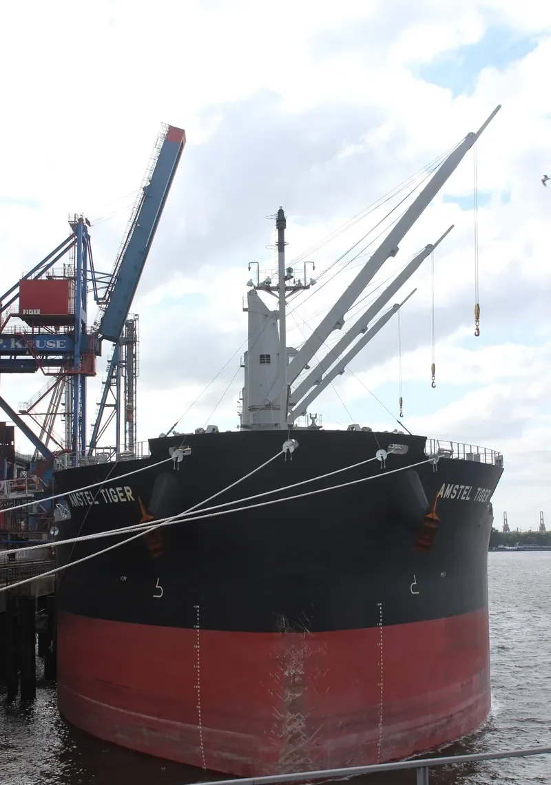AMSTEL TIGER Bulk Carrier IMO 9434515 photo 4