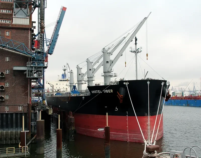AMSTEL TIGER Bulk Carrier IMO 9434515 photo 8