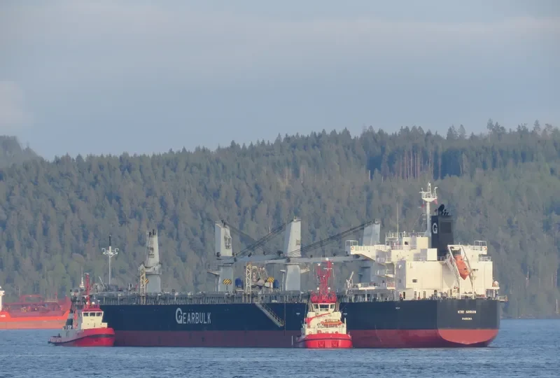 KIWI ARROW Bulk Carrier IMO 9434527 photo 3