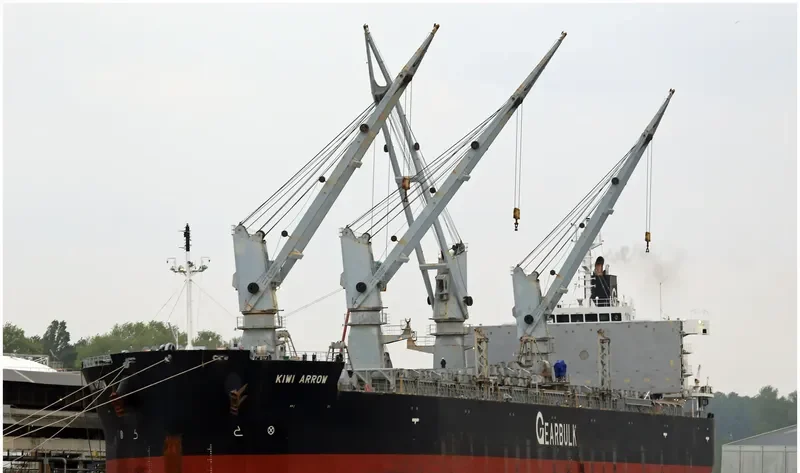 KIWI ARROW Bulk Carrier IMO 9434527 photo 4