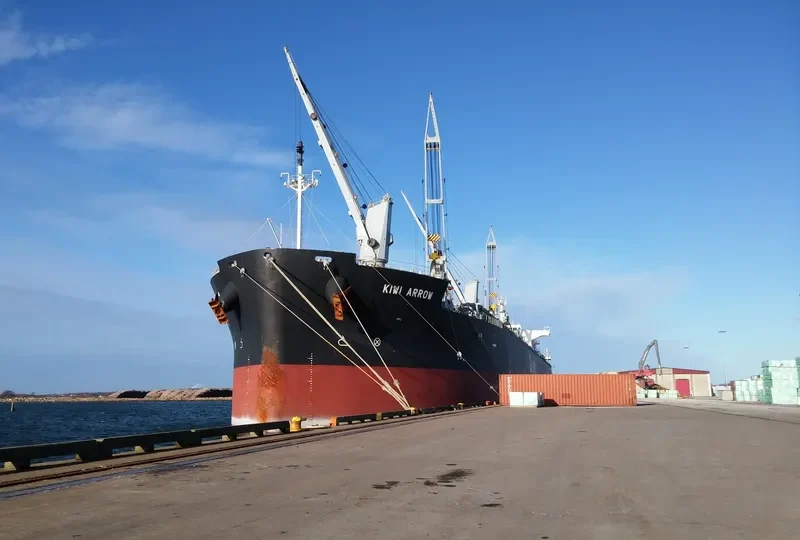 KIWI ARROW Bulk Carrier IMO 9434527 photo 5