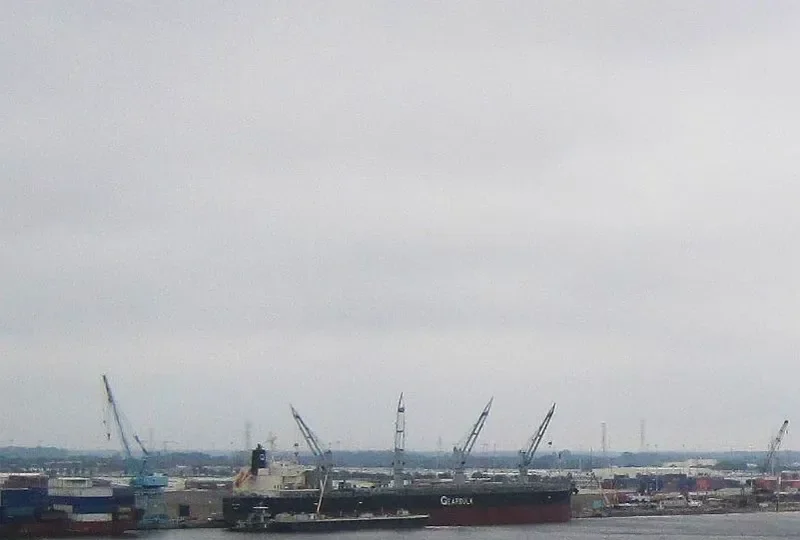 KIWI ARROW Bulk Carrier IMO 9434527 photo 7