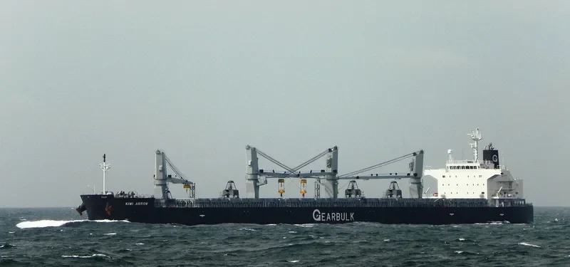 KIWI ARROW Bulk Carrier IMO 9434527 photo 8