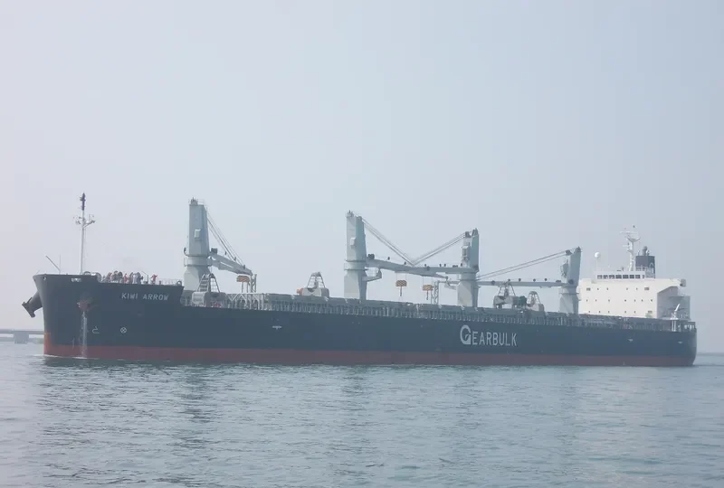 KIWI ARROW Bulk Carrier IMO 9434527 photo 9