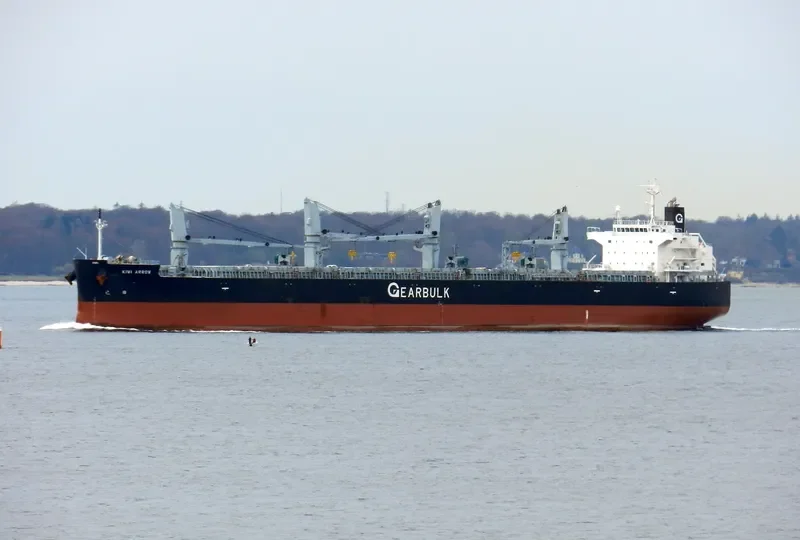 KIWI ARROW Bulk Carrier IMO 9434527 photo 10