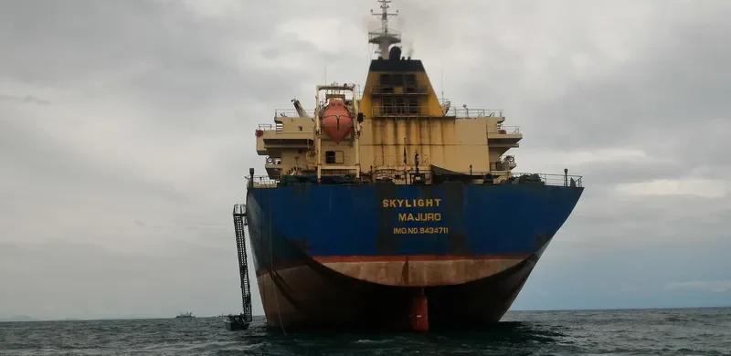 VAN FORTUNE Bulk Carrier IMO 9434711