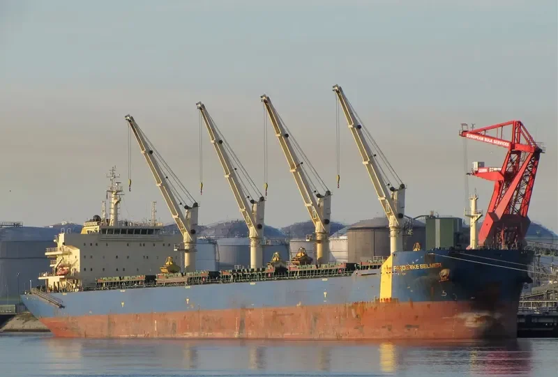 VAN FORTUNE Bulk Carrier IMO 9434711 photo 3