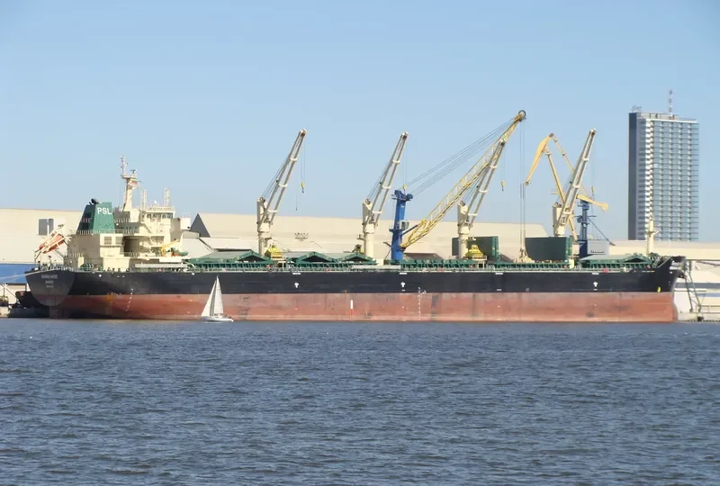 KIRANA NAREE Bulk Carrier IMO 9434723 photo 7