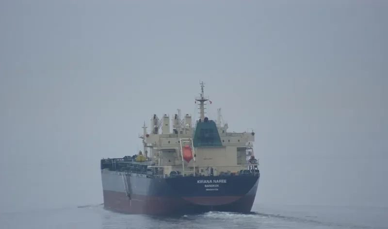 KIRANA NAREE Bulk Carrier IMO 9434723 photo 10