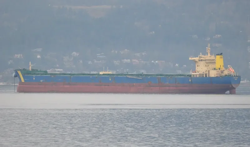 MINERAL GENT Bulk Carrier IMO 9435076 photo 4