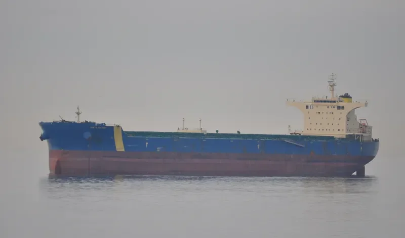 MINERAL GENT Bulk Carrier IMO 9435076 photo 5