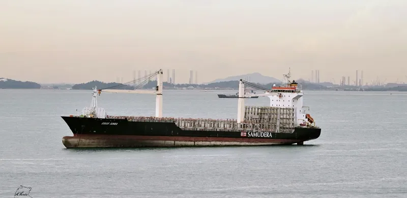 HANSA HARBURG Container Ship IMO 9435222