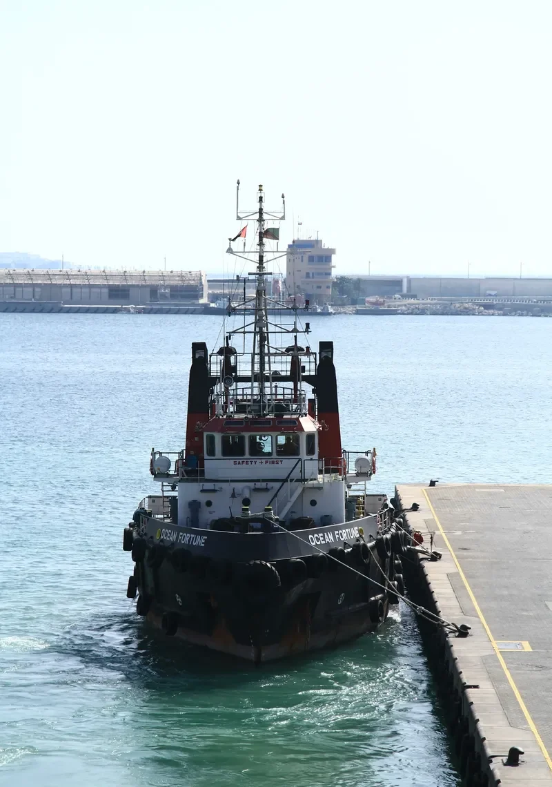 OCEAN FORTUNE General Cargo IMO 9435662