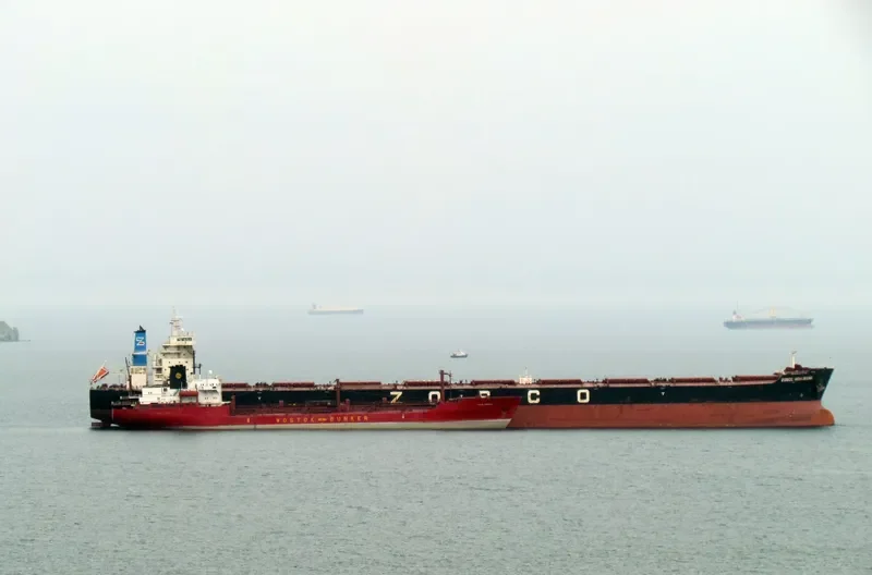 BERGE SONG SHAN Bulk Carrier IMO 9436513 photo 5