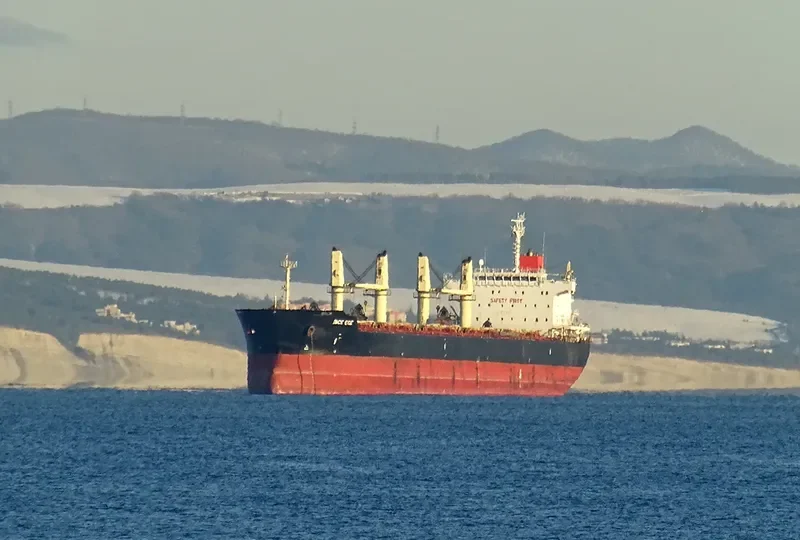 INCE EGE Bulk Carrier IMO 9436733