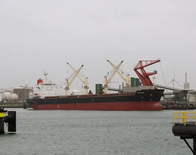 INCE EGE Bulk Carrier IMO 9436733 photo 4