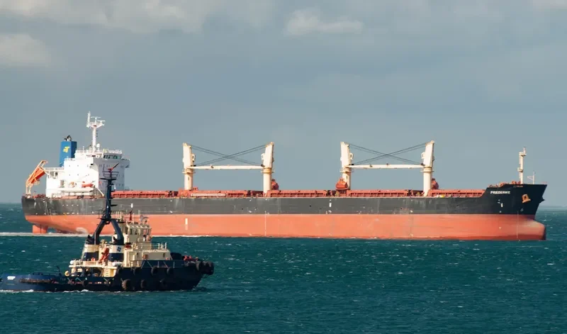 FRIEDERIKE Bulk Carrier IMO 9436769
