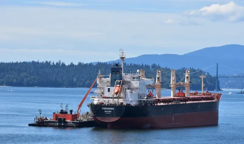 FRIEDERIKE Bulk Carrier IMO 9436769 photo 3