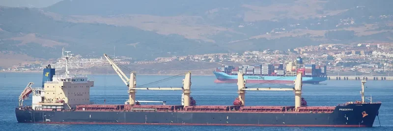 FRIEDERIKE Bulk Carrier IMO 9436769 photo 4