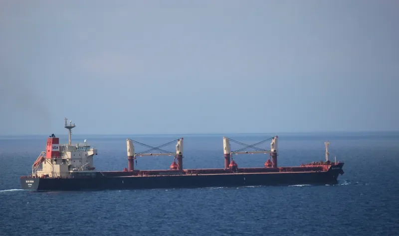 FRIEDERIKE Bulk Carrier IMO 9436769 photo 7