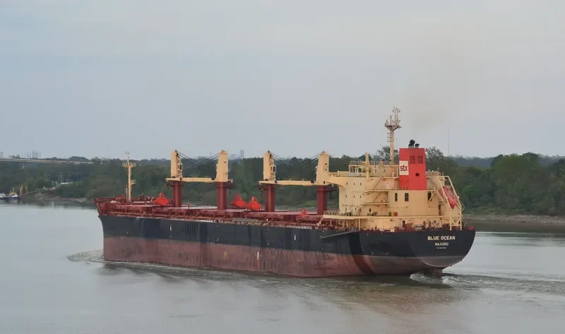 FRIEDERIKE Bulk Carrier IMO 9436769 photo 8