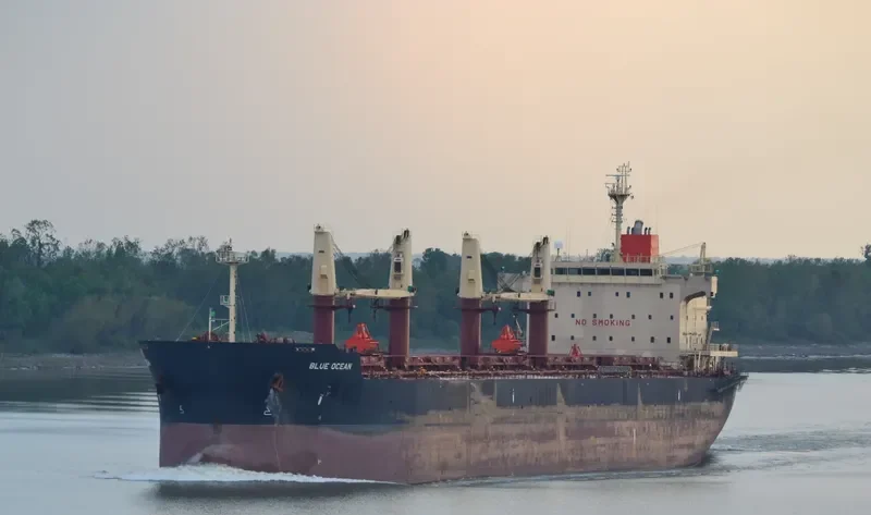 FRIEDERIKE Bulk Carrier IMO 9436769 photo 9