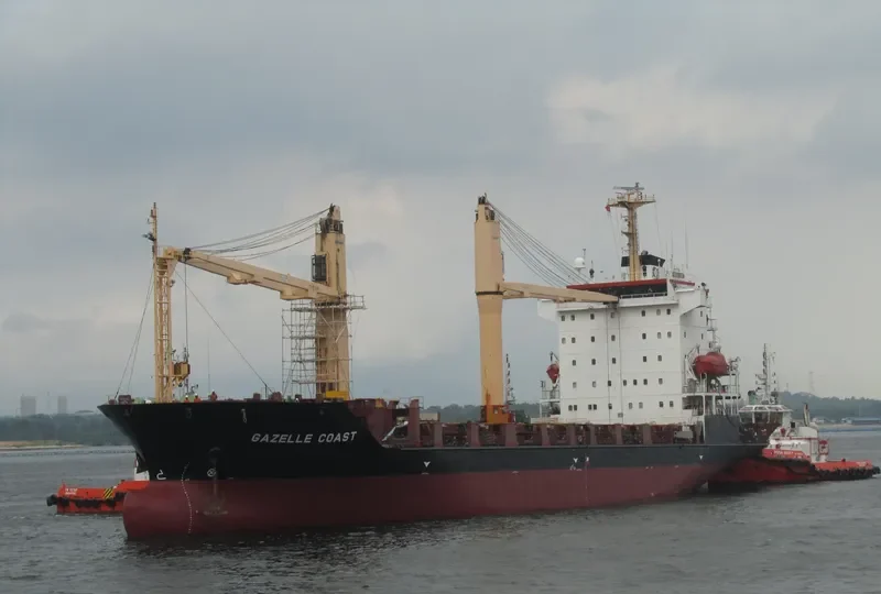 GAZELLE COAST Container Ship IMO 9436874