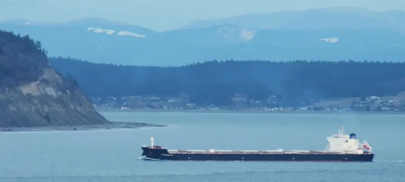 ATHANASSIOS G.O. Bulk Carrier IMO 9437103 photo 5