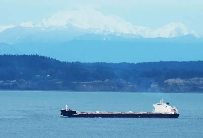 ATHANASSIOS G.O. Bulk Carrier IMO 9437103 photo 6