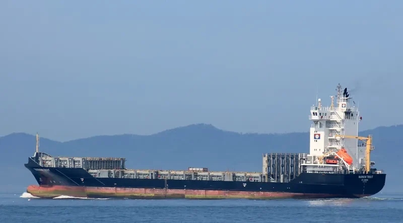 BF TROUT Container Ship IMO 9437232 photo 5
