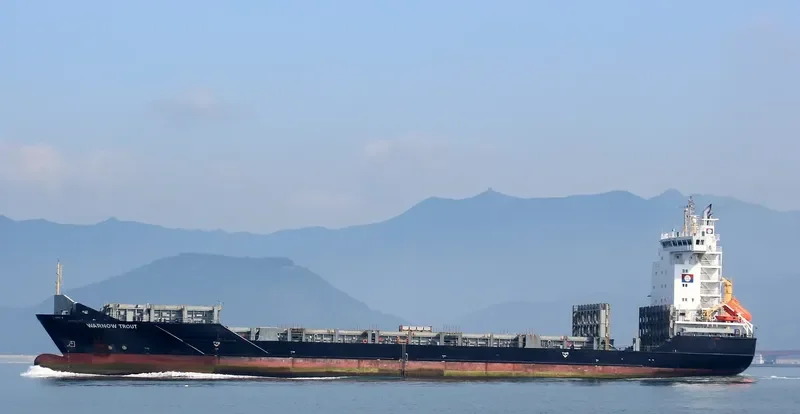 BF TROUT Container Ship IMO 9437232 photo 8