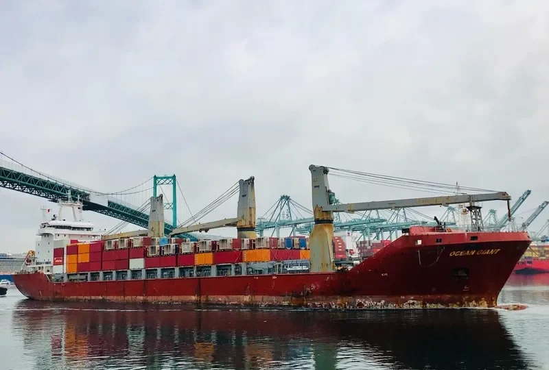 OCEAN GIANT General Cargo IMO 9437335 photo 10