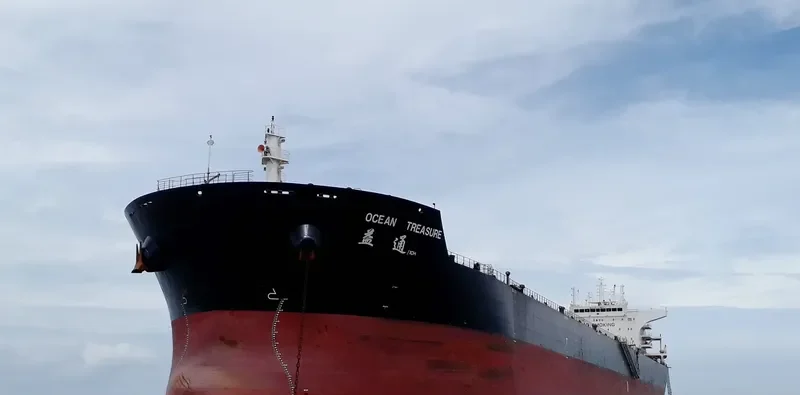 OCEAN TREASURE Bulk Carrier IMO 9437414 photo 2