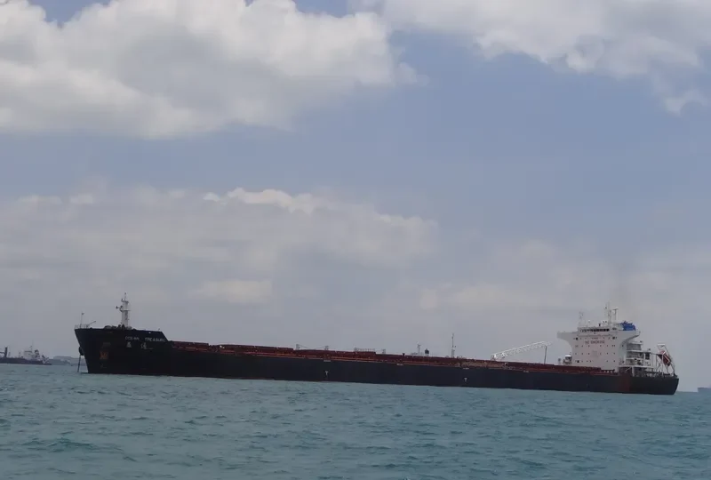 OCEAN TREASURE Bulk Carrier IMO 9437414 photo 5