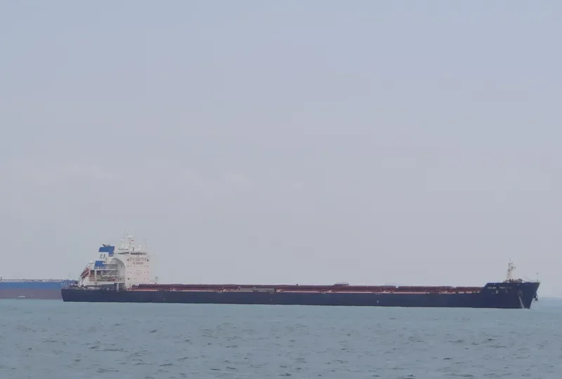 OCEAN TREASURE Bulk Carrier IMO 9437414 photo 6