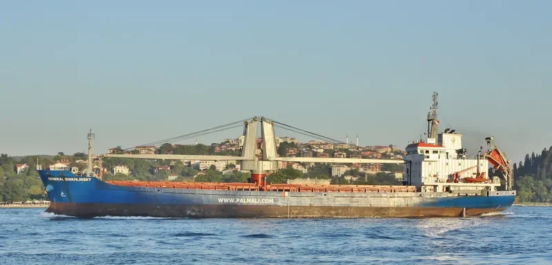 GENERAL SHIKHLINSKY General Cargo IMO 9437775 photo 6