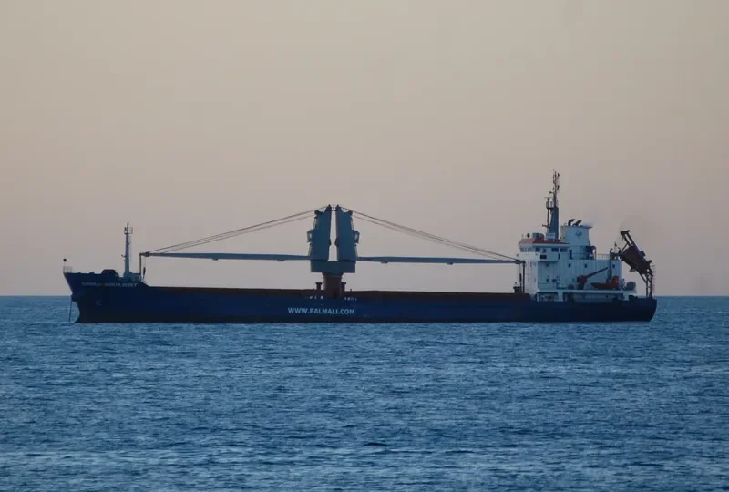 GENERAL SHIKHLINSKY General Cargo IMO 9437775 photo 8