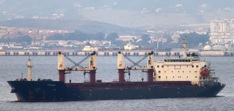 ROADRUNNER Bulk Carrier IMO 9438042
