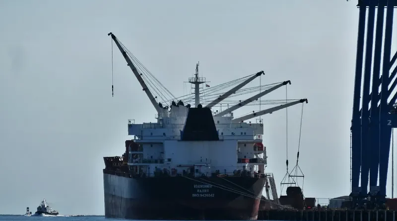 ROADRUNNER Bulk Carrier IMO 9438042 photo 2